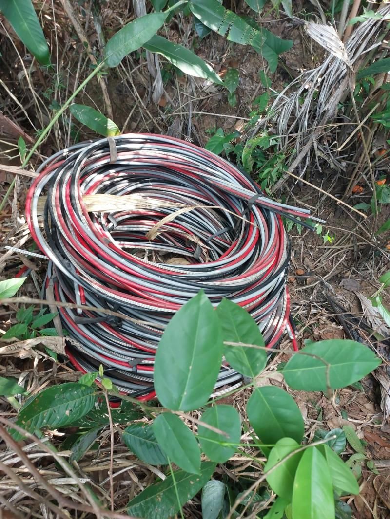 Polícia Militar encontra grande quantidade de fios escondidos em meio à vegetação em Rolim de Moura Polícia Militar encontra grande quantidade de fios escondidos em meio à vegetação em Rolim de Moura
