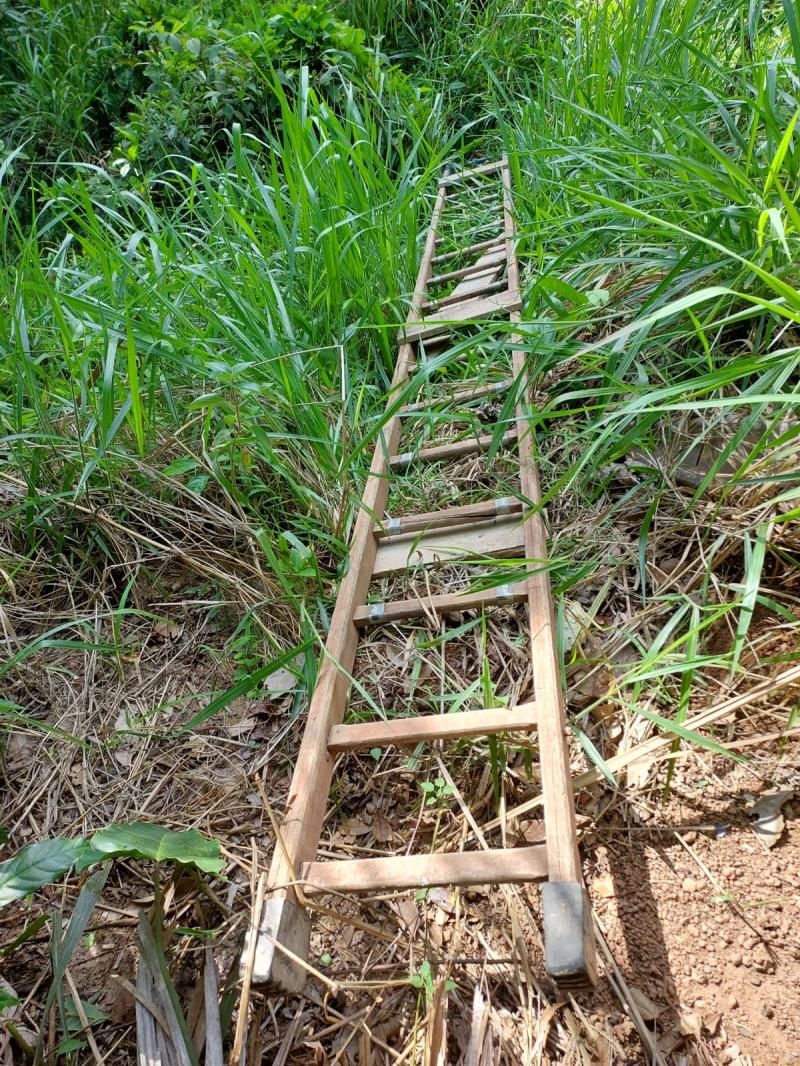 Polícia Militar encontra grande quantidade de fios escondidos em meio à vegetação em Rolim de Moura Polícia Militar encontra grande quantidade de fios escondidos em meio à vegetação em Rolim de Moura