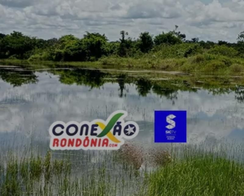 URGENTE — Corpo é encontrado em represa no bairro Jardim das Oliveiras, em Pimenta Bueno URGENTE — Corpo é encontrado em represa no bairro Jardim das Oliveiras, em Pimenta Bueno