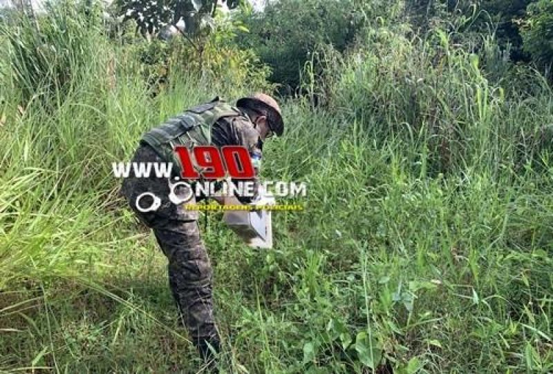 Polícia Militar Ambiental remove serpente de residência e garante segurança de moradores em Alta Floresta d´Oeste Polícia Militar Ambiental remove serpente de residência e garante segurança de moradores em Alta Floresta d´Oeste