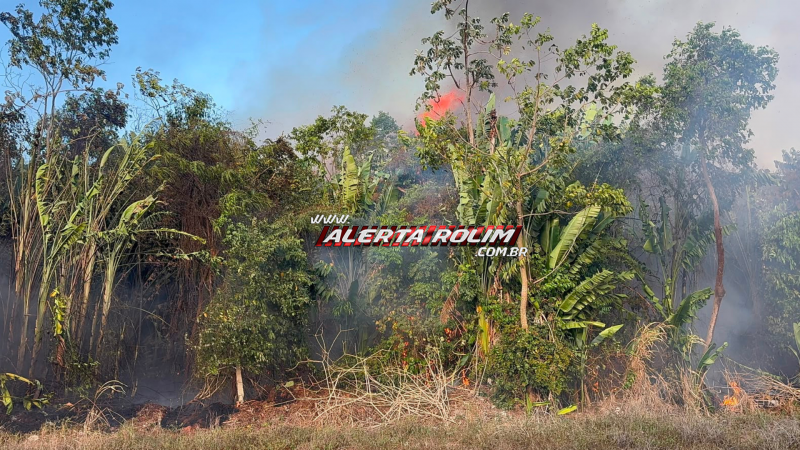 Incêndio em área de mata mobiliza Corpo de Bombeiros pela segunda vez em menos de uma semana em Rolim de Moura Incêndio em área de mata mobiliza Corpo de Bombeiros pela segunda vez em menos de uma semana em Rolim de Moura
