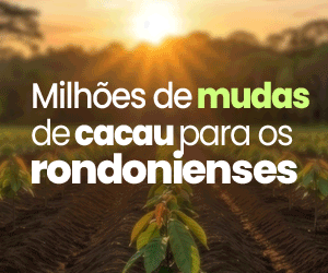 governo 