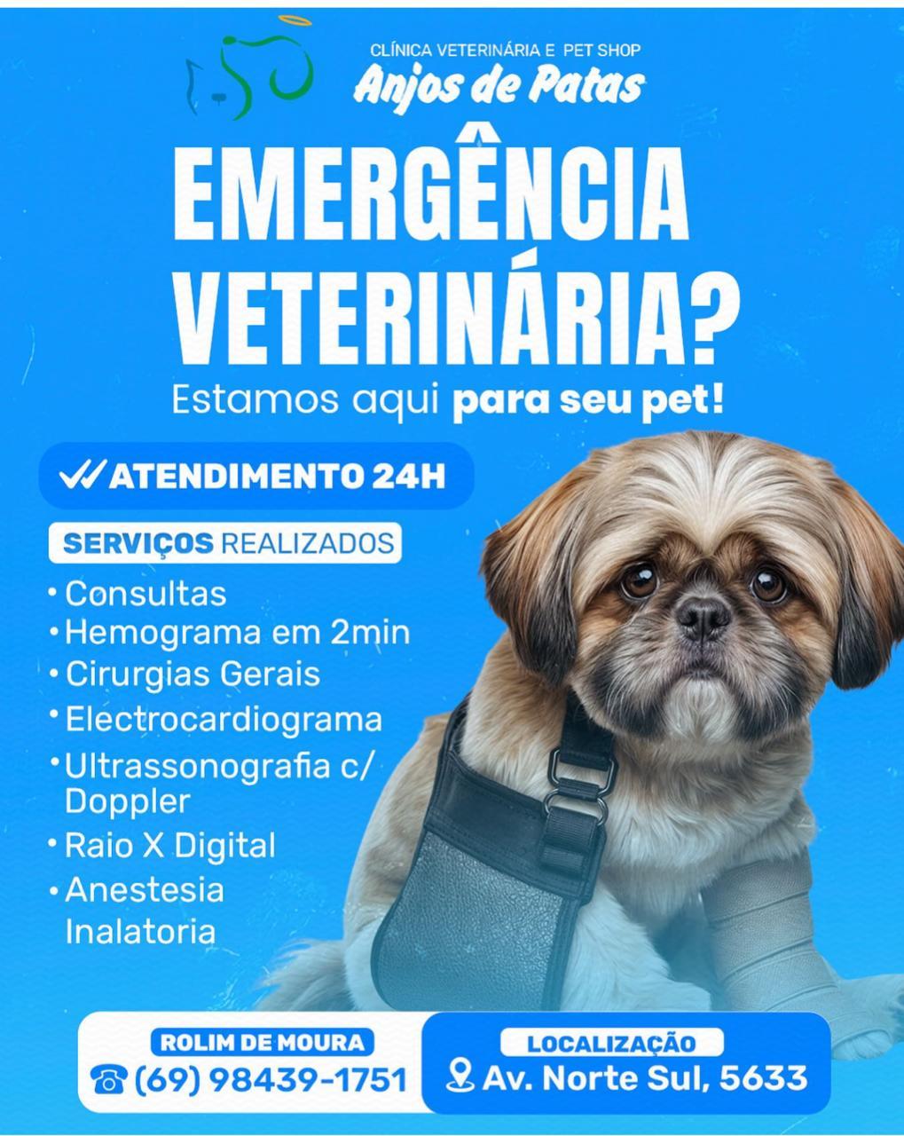 Emergência com seu PET ? A Clínica Veterinária Anjos de Patas Rolim de ...